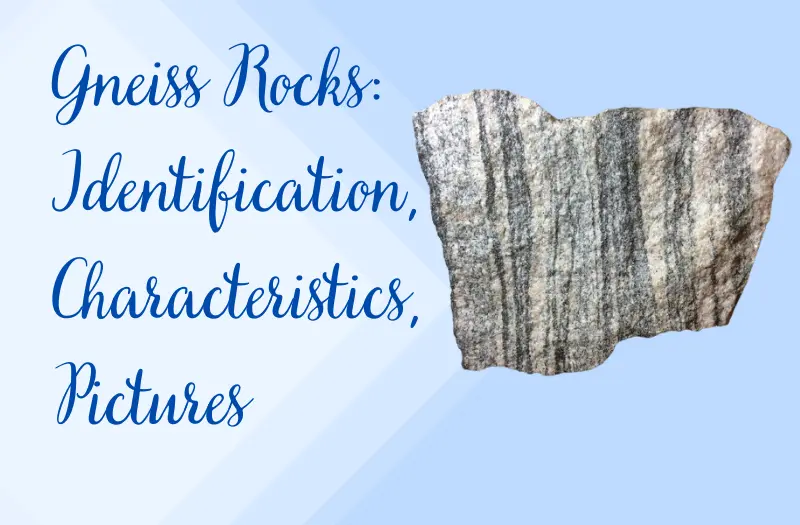 Gneiss Rocks: Identification, Characteristics, Pictures, and More