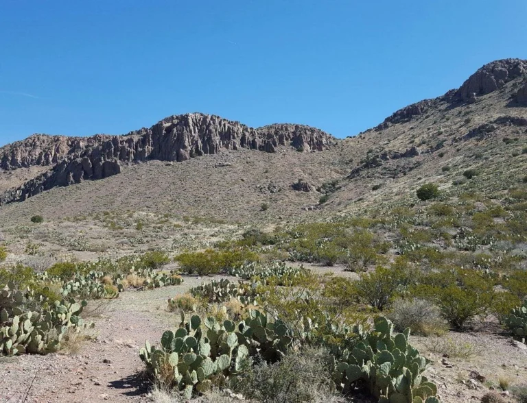 New Mexico Rockhounding Location Guide and Map
