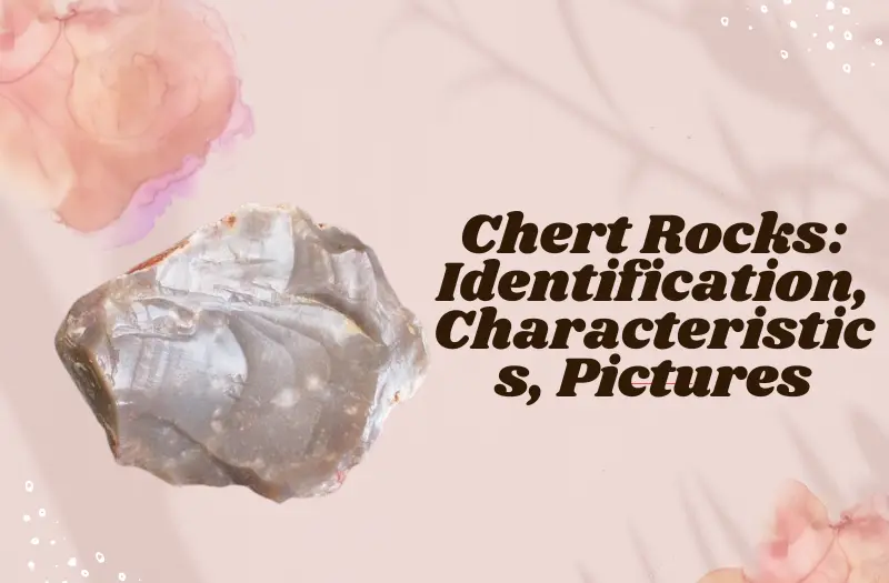 Chert Rocks: Identification, Characteristics, Pictures, and More
