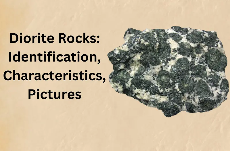 Diorite Rocks: Identification, Characteristics, Pictures, and More