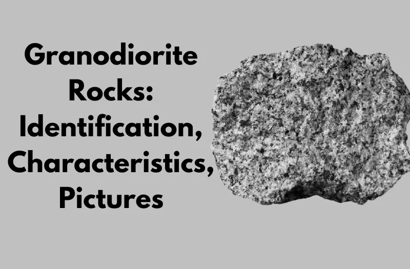 Granodiorite Rocks