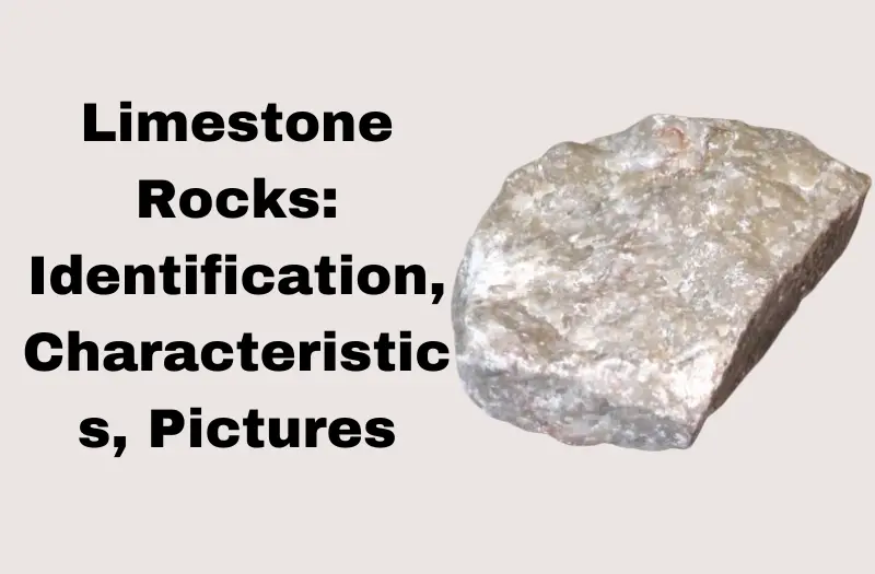 Limestone Rocks: Identification, Characteristics, Pictures, and More