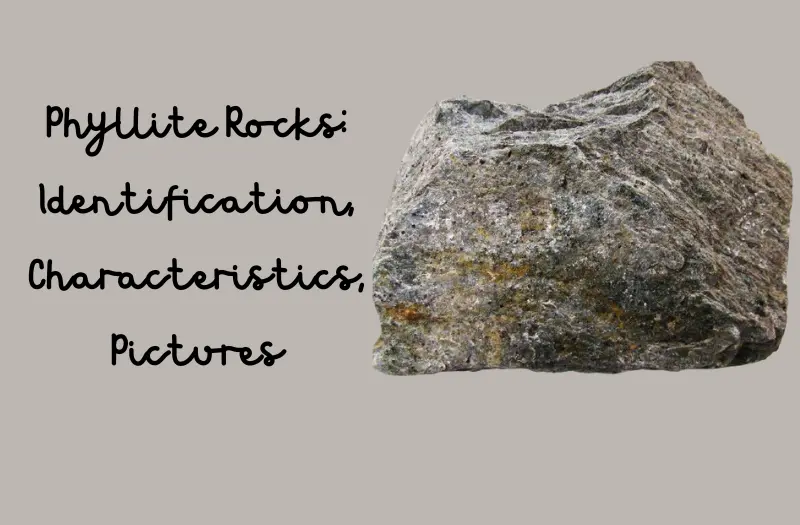 Phyllite Rocks: Identification, Characteristics, Pictures, and More